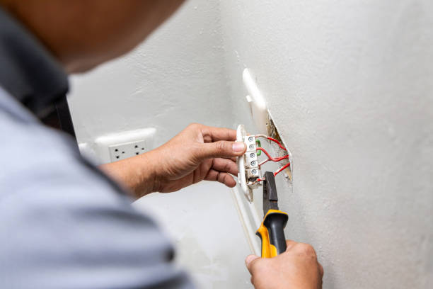 Best Electric Panel Repair  in Fort Lupton, CO